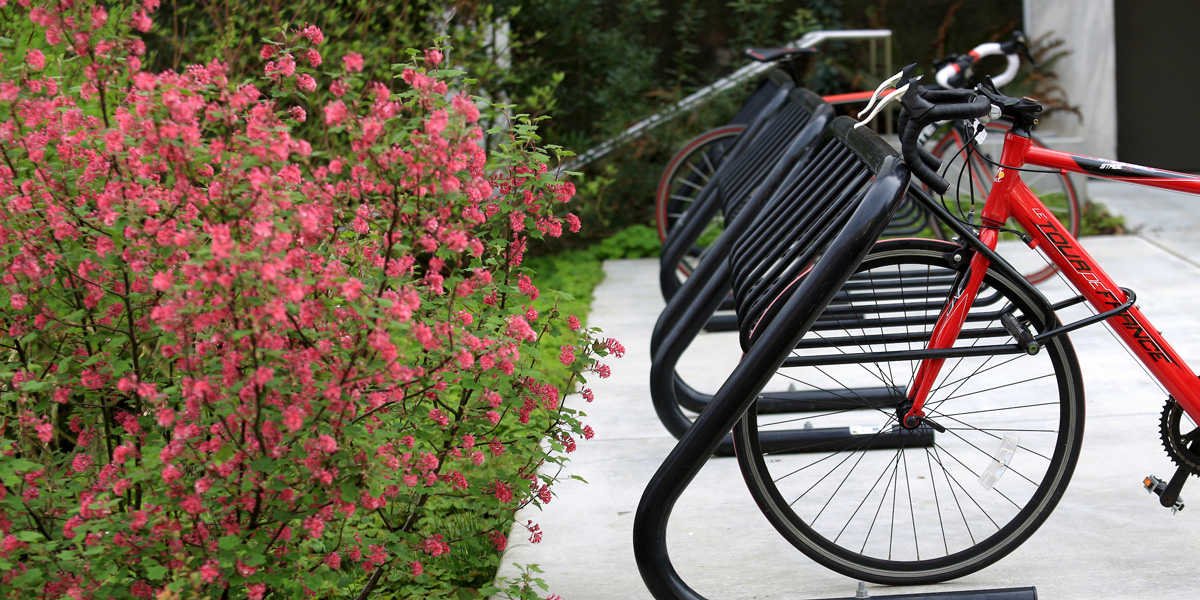 a bike in a bike stand next to pink flowers