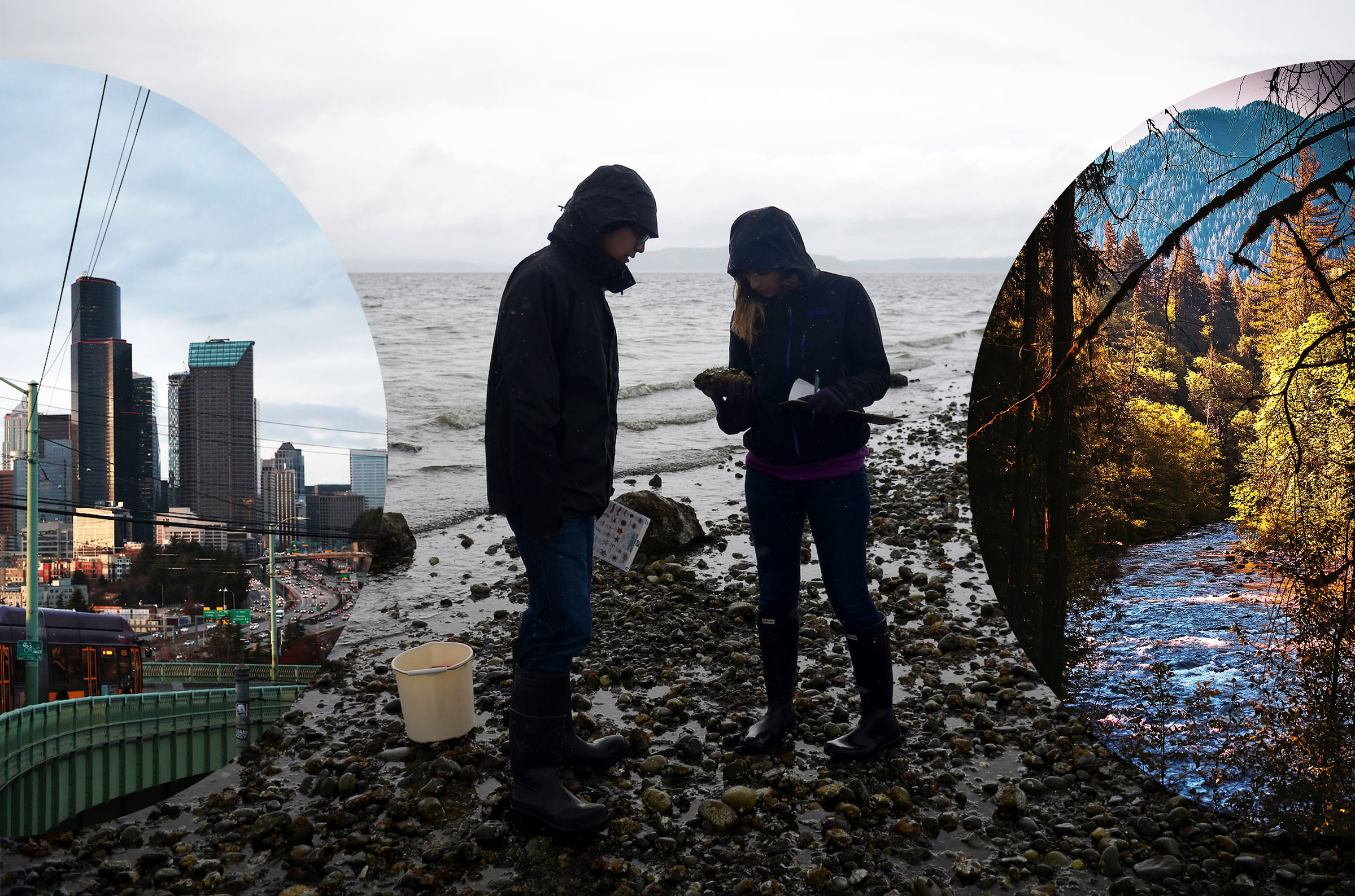 collage of SU students studying something on the beach, the freeway and downtown Seattle, and Yibo Sheng's award-winning photo 'Curious Chipmunk'