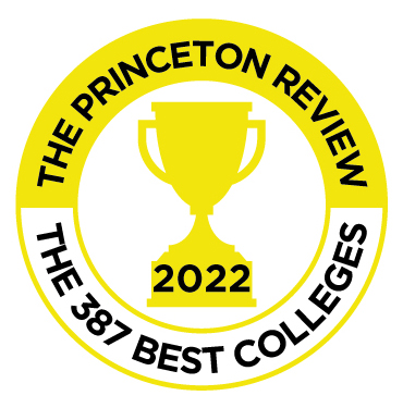 Image for Princeton Review