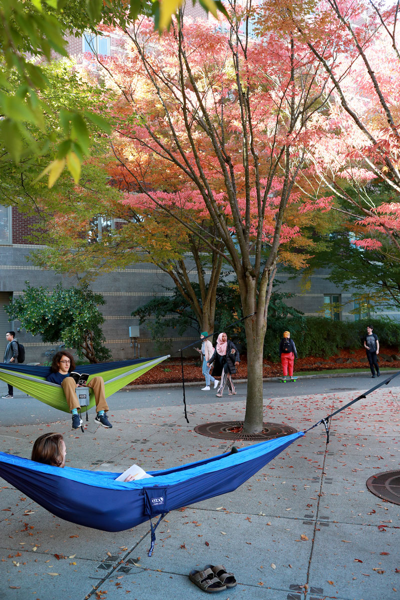 Students reading books in green and blue tree hammocks along the busy upper mall on a fall day